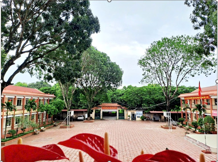 anh 7